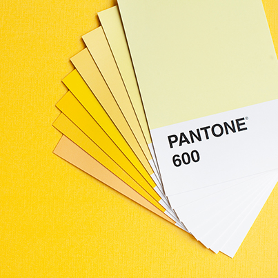 Pantone Color Test thing preview image